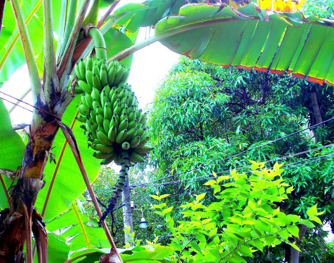 Chill Space Negombo Bagian luar foto